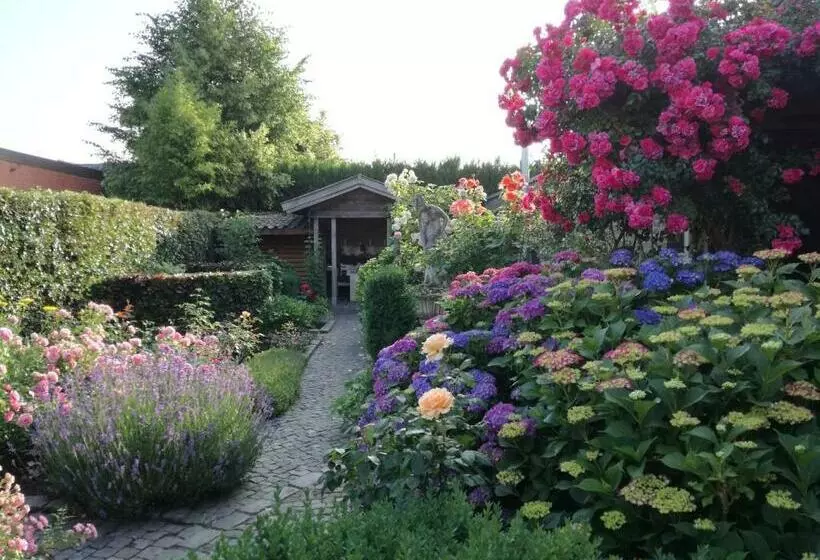 Aamiaismajoitus (B&B) La Rose