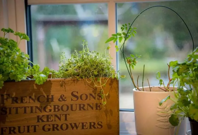 ベッドアンドブレックファースト St Leonards Farmhouse