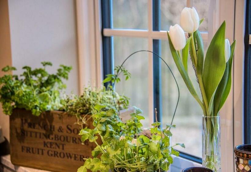 Bed and Breakfast St Leonards Farmhouse