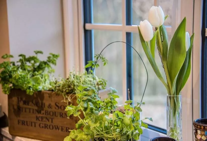 ベッドアンドブレックファースト St Leonards Farmhouse