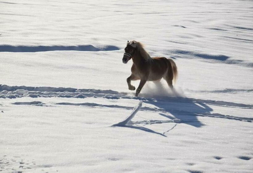 Отель Niederhaeusererhof