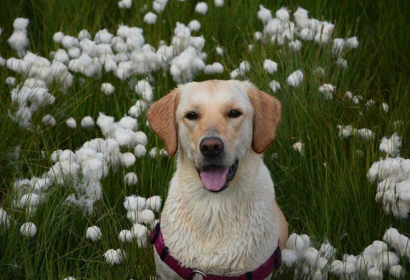 Отель Niederhaeusererhof