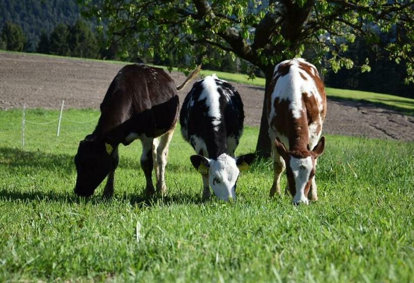 Отель Niederhaeusererhof