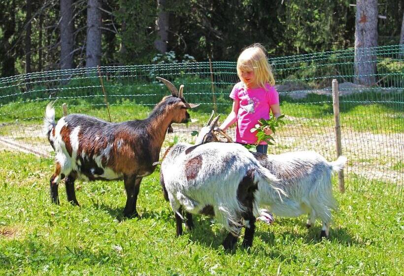 Отель Niederhaeusererhof