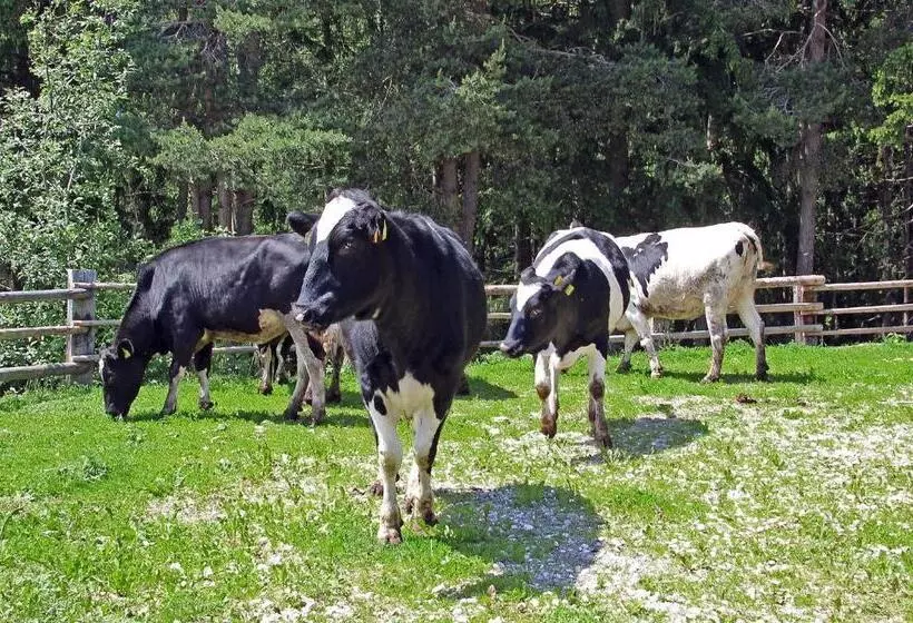 هتل Niederhaeusererhof