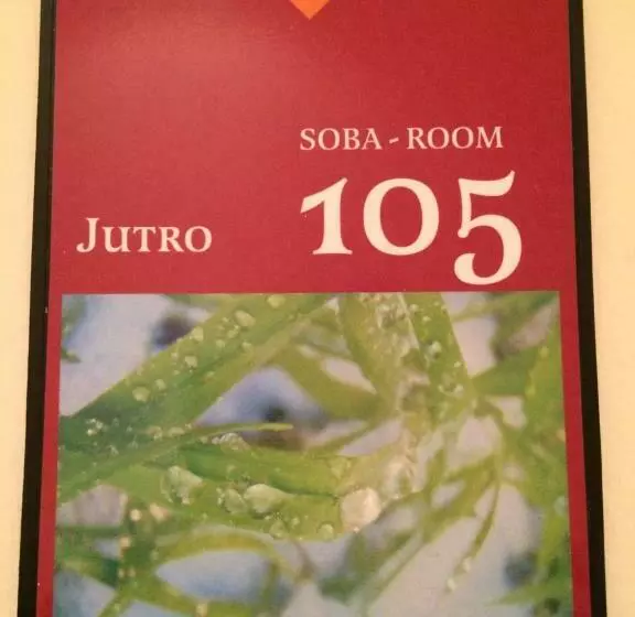 پانسیون Apartments Rooms Vogrinec
