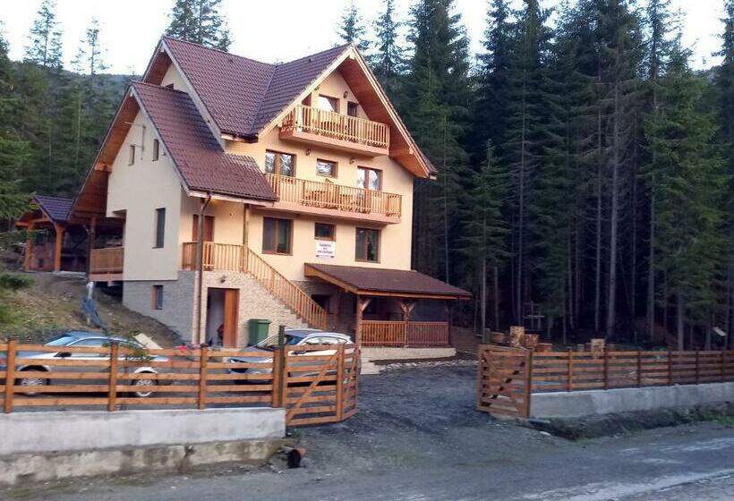 Pensjonat Vidra Parc