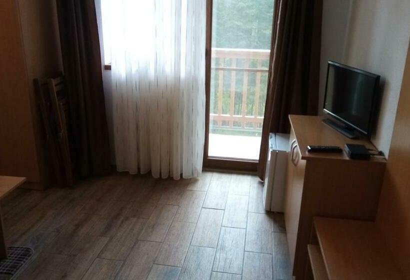 Pensjonat Vidra Parc