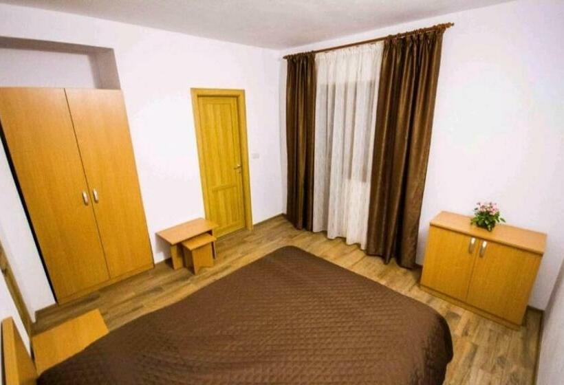 Pensjonat Vidra Parc