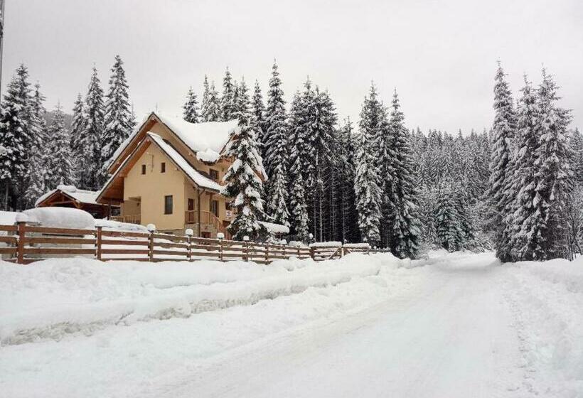 Pensjonat Vidra Parc