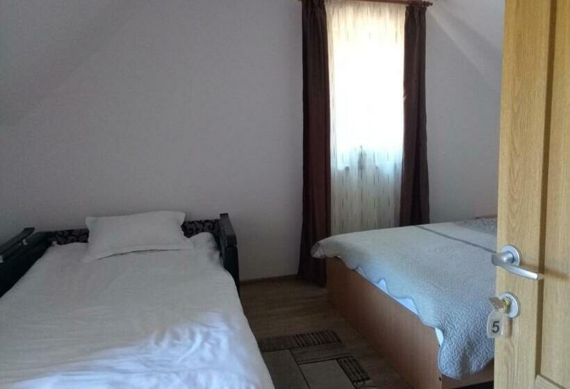 Pensjonat Vidra Parc