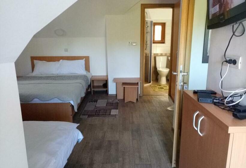 Pensjonat Vidra Parc