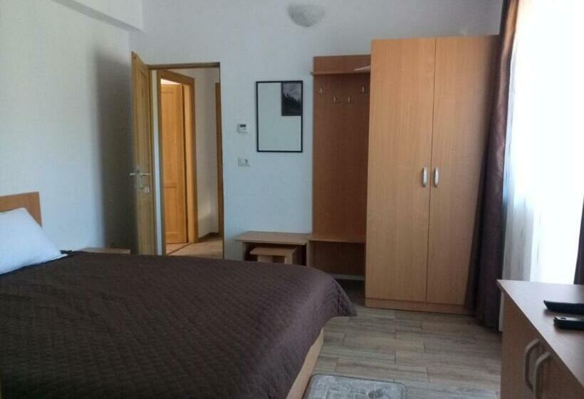 Pensjonat Vidra Parc