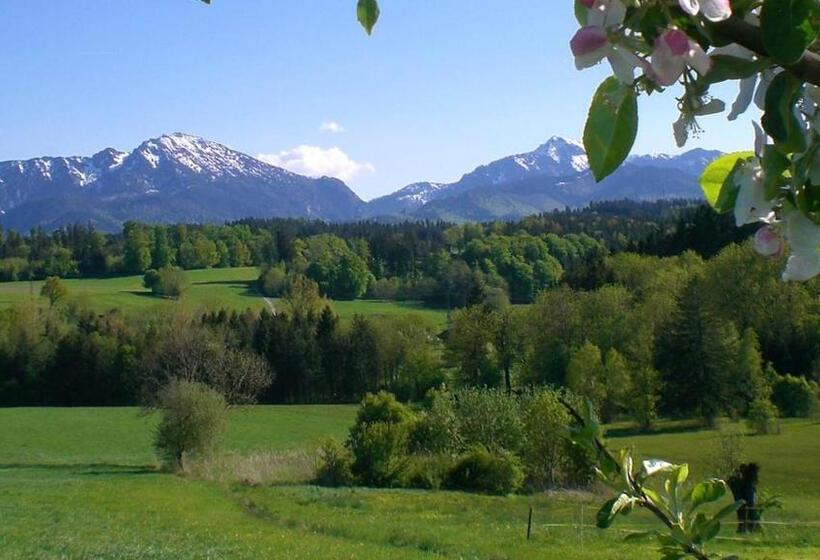 Pension Langerspacher