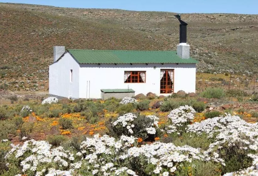 ベッドアンドブレックファースト Middelfontein Farm