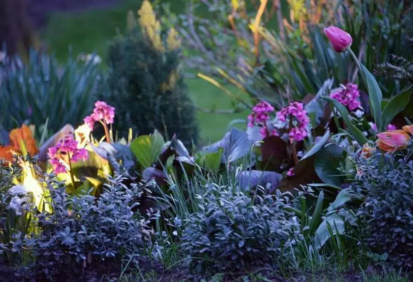 Notarishuis Beveren B&b