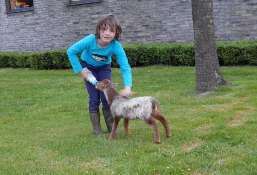 هتل De Schaapskooi