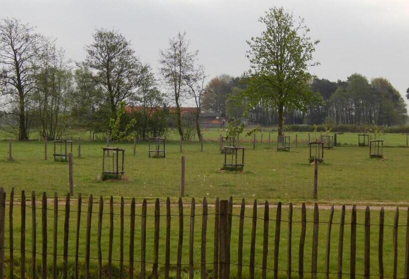 هتل De Schaapskooi