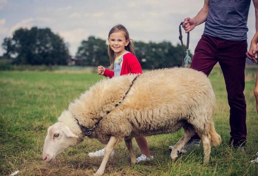 هتل De Schaapskooi