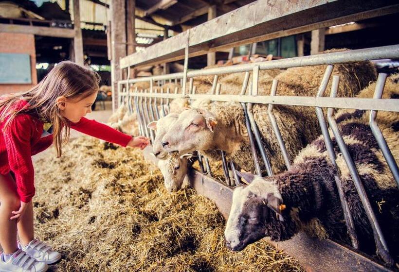 هتل De Schaapskooi