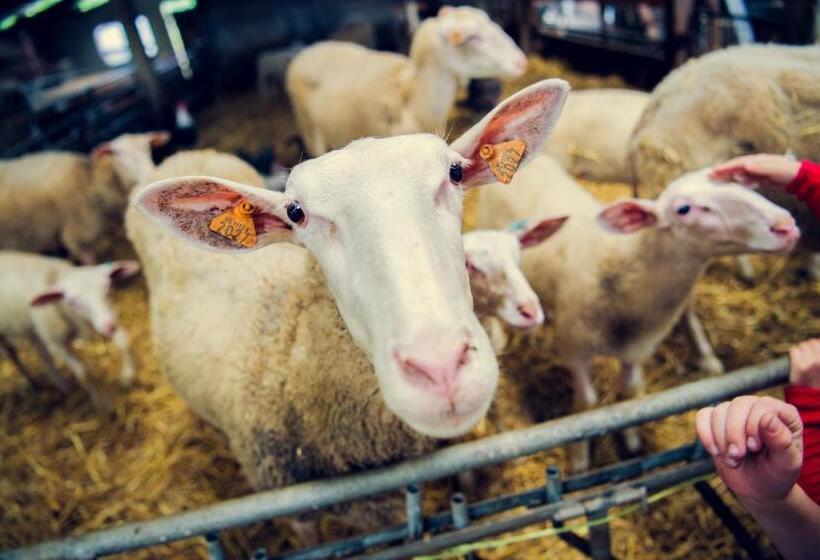 هتل De Schaapskooi