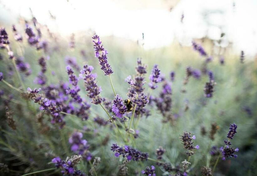 Отель Kräutererbe Bacherhof