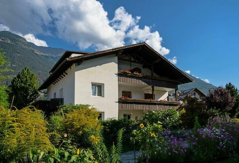 膳宿费 Haus Schlossblick