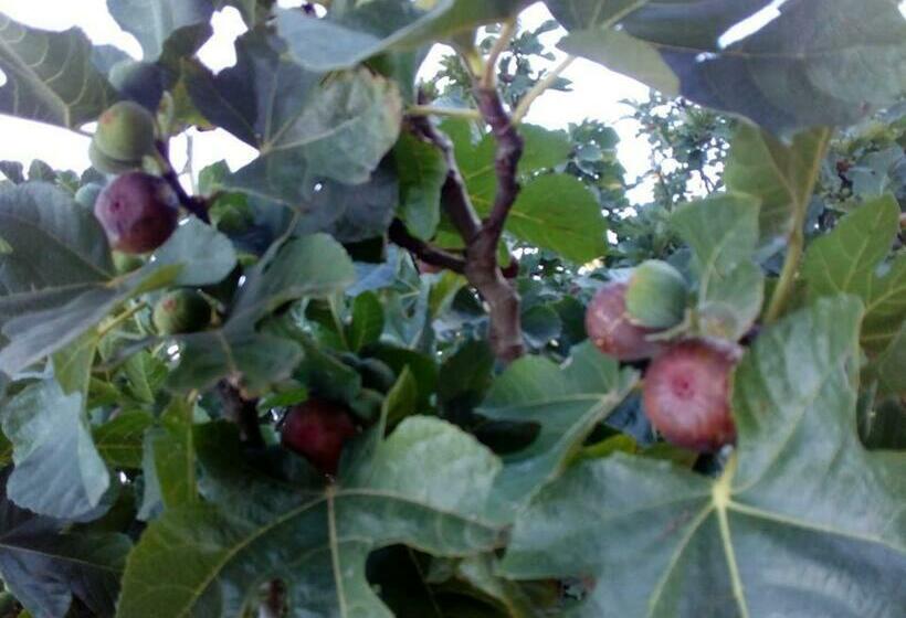 B&b Les Quatre Vents