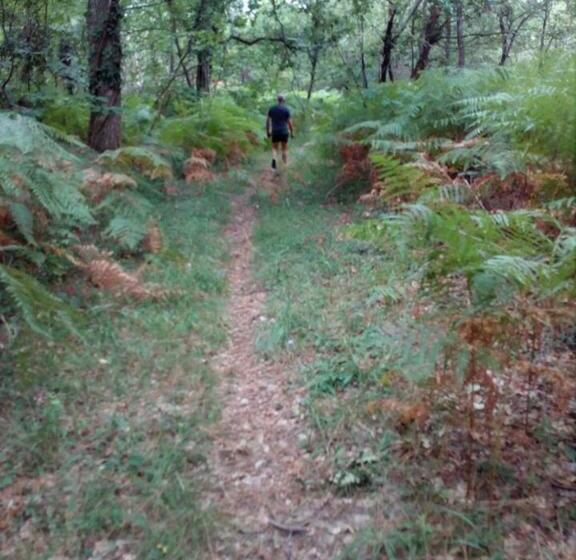 B&b Les Quatre Vents