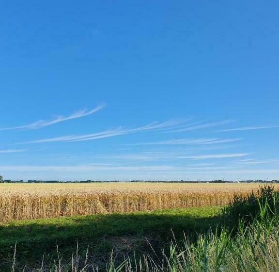 مبيت وإفطار Benb Zuidoord