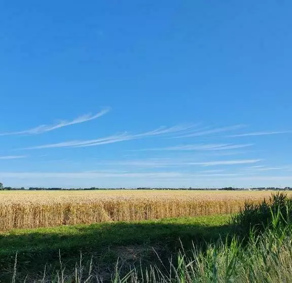 Aamiaismajoitus (B&B) Benb Zuidoord