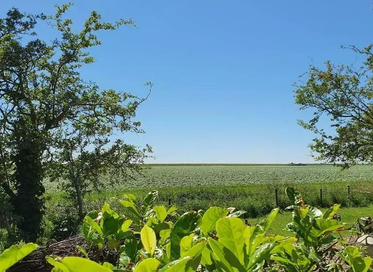 Aamiaismajoitus (B&B) Benb Zuidoord