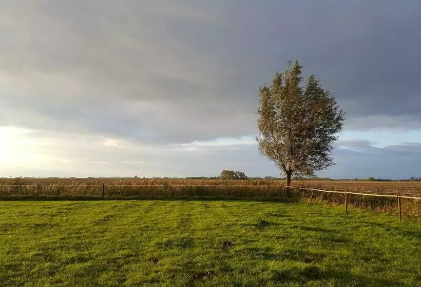 Aamiaismajoitus (B&B) Benb Zuidoord