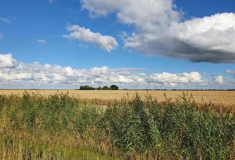 Aamiaismajoitus (B&B) Benb Zuidoord