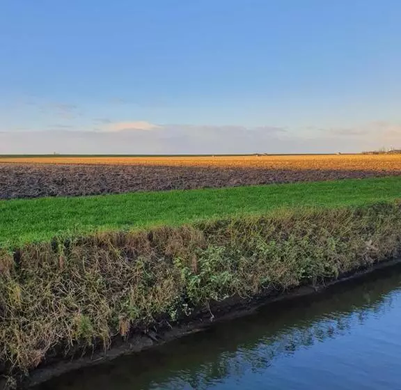 Aamiaismajoitus (B&B) Benb Zuidoord