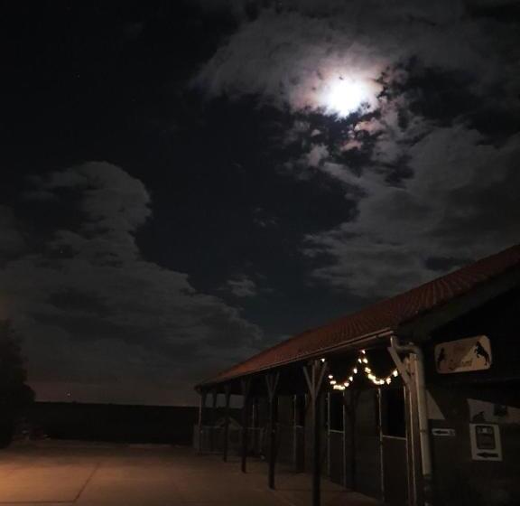 مبيت وإفطار Benb Zuidoord