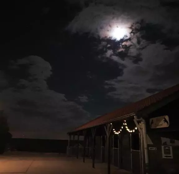 Aamiaismajoitus (B&B) Benb Zuidoord