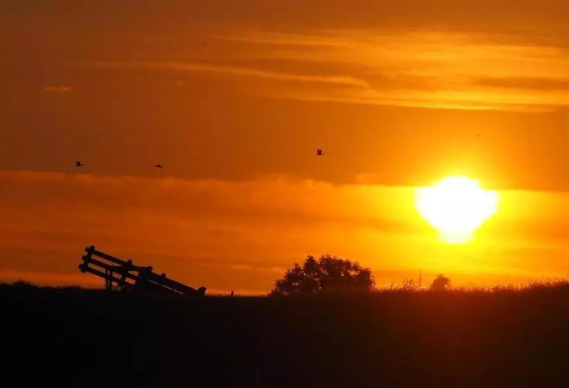 Aamiaismajoitus (B&B) Benb Zuidoord