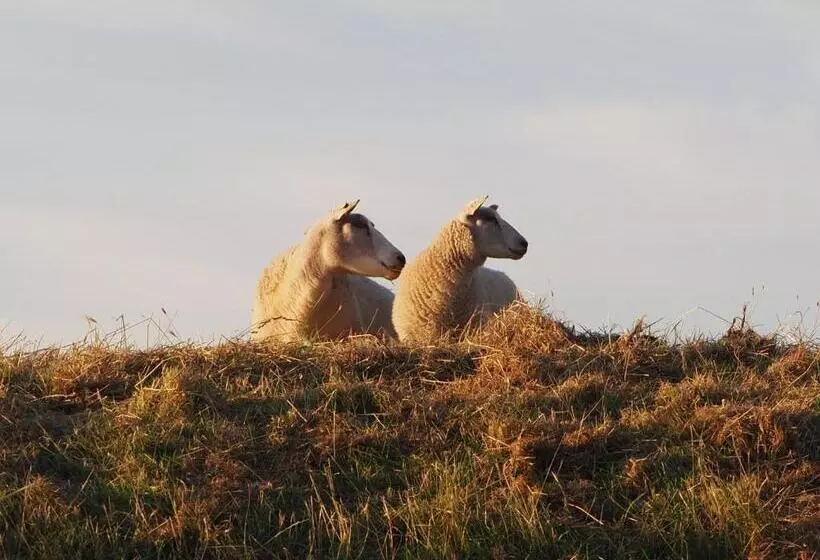 Aamiaismajoitus (B&B) Benb Zuidoord