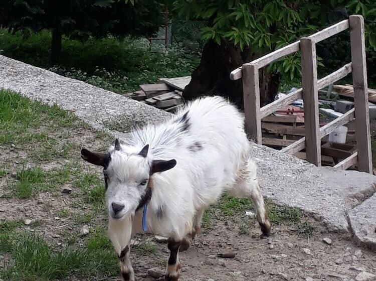 Foresteria B&b Vecchiascuola Pianazzola