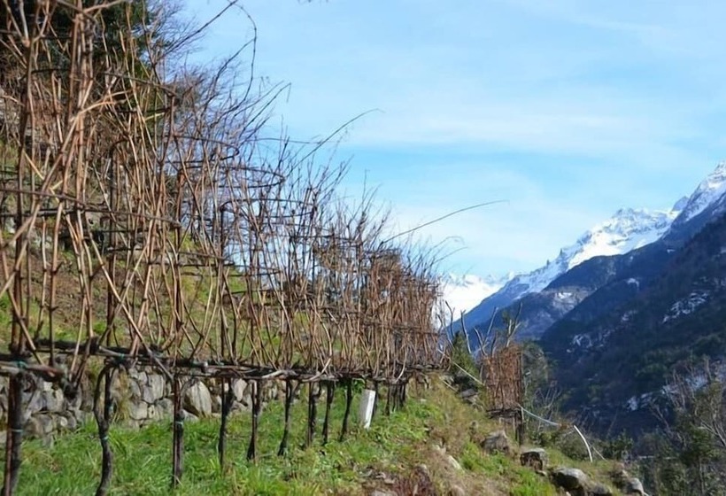 Foresteria B&b Vecchiascuola Pianazzola