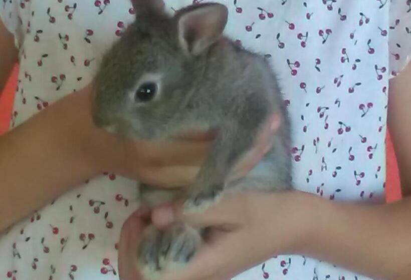 ホテル All Antica Ruggine