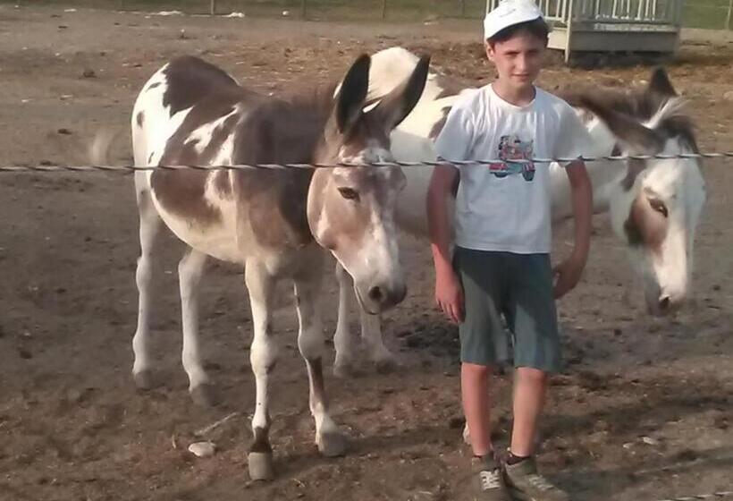 ホテル All Antica Ruggine