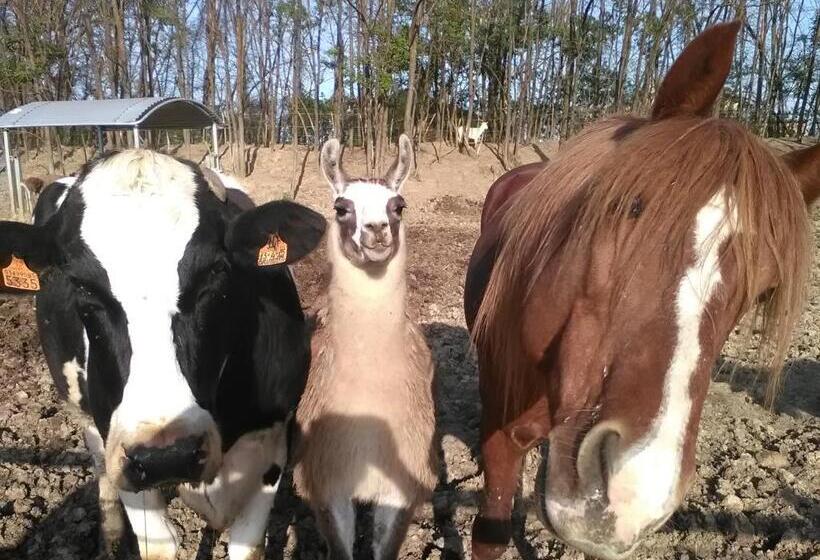 ホテル All Antica Ruggine