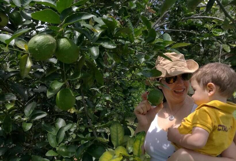 펜션 Casa De Campo Vacacional Tres Soles En Xico, Veracruz