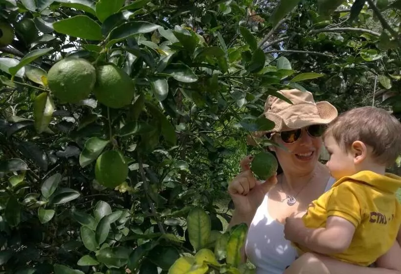 Majatalo Casa De Campo Vacacional Tres Soles En Xico, Veracruz