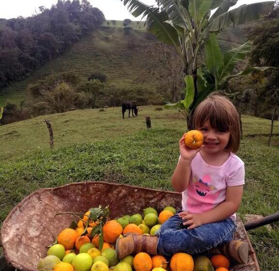 펜션 Casa De Campo Vacacional Tres Soles En Xico, Veracruz