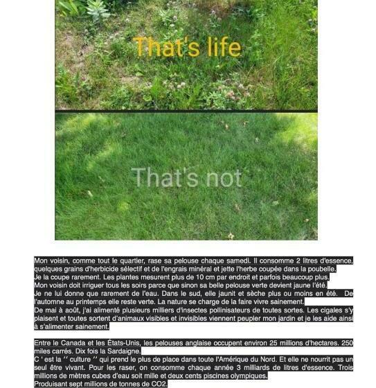 Пансион Roulotte Aux Peupliers