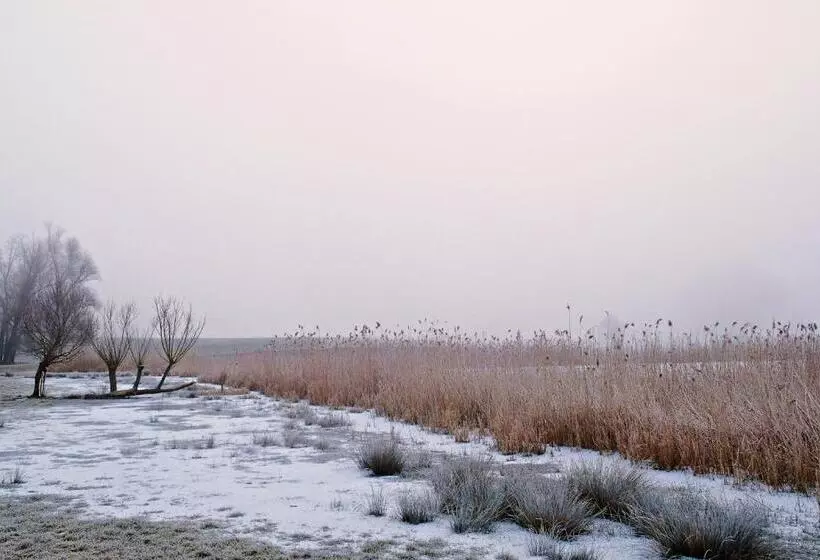 Majatalo Event  Kultur & B&b Kunst Schloss Neuenhagen übernachten Im Denkmal