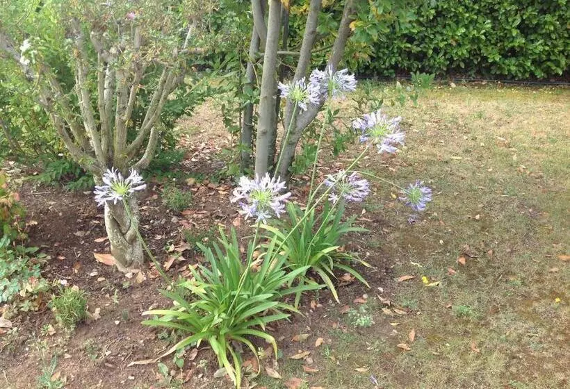 Aamiaismajoitus (B&B) Au Mas Des Graviers